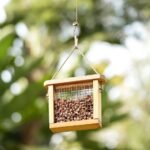 hazelnuts, seeds, feeder-7868345.jpg